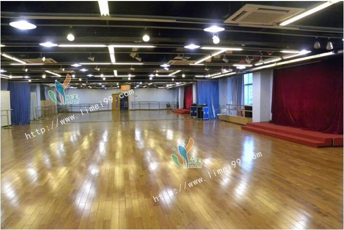 羽毛球场pvc地板_广东畅销运动地胶供应