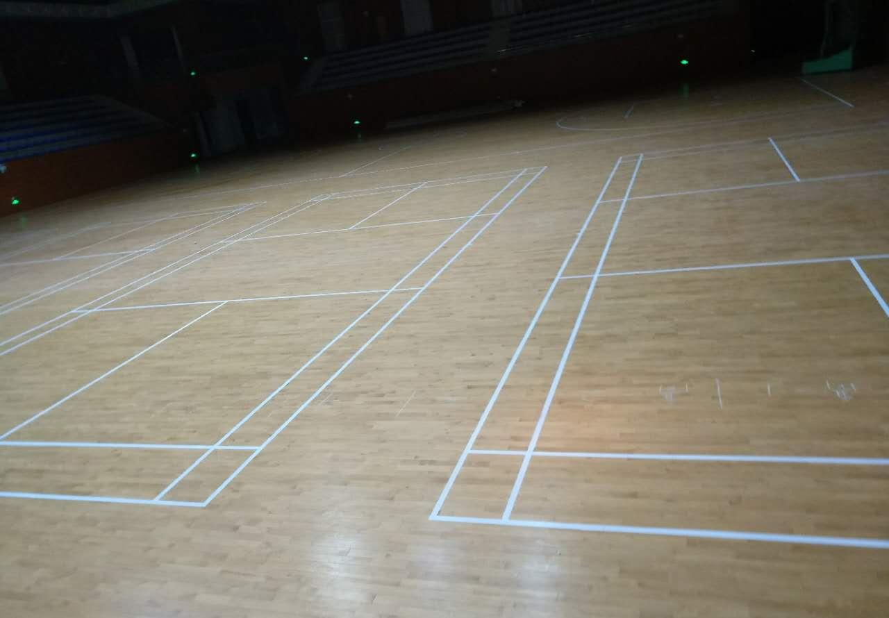 407217419280071522(1)