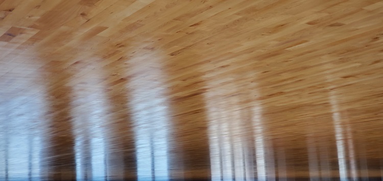 mmexport1679233477101(1)