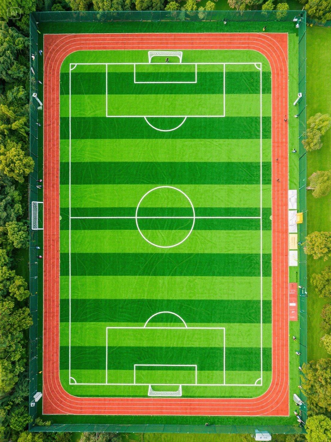 81c95bb351cbbde12d54294c9396abe1